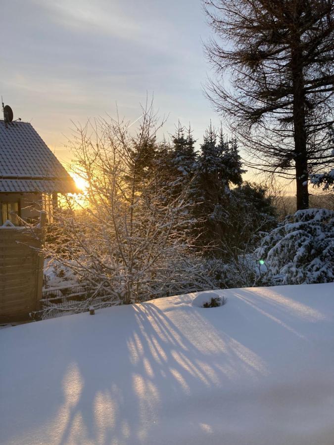 Ferienhaus Sauerlandtraum Вінтерберг Екстер'єр фото